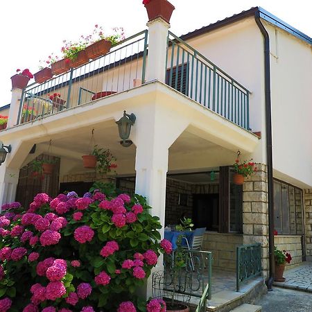 Villa Matohanca Rovinj Zewnętrze zdjęcie