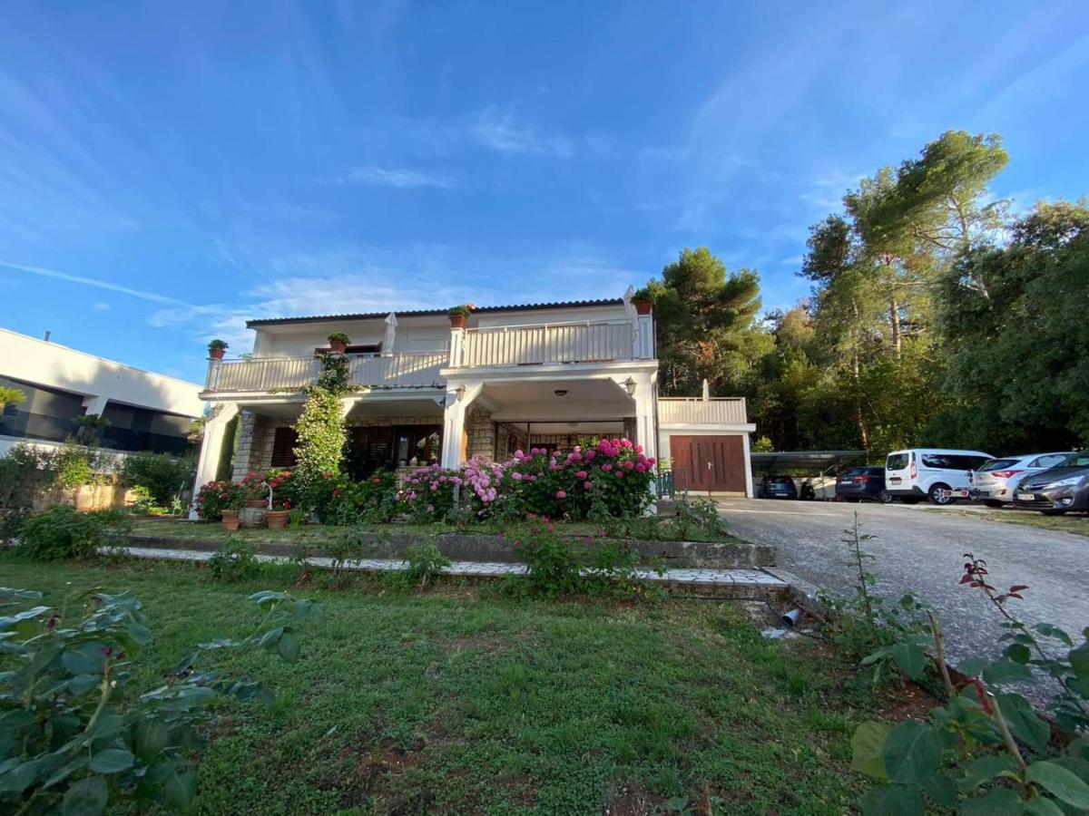 Villa Matohanca Rovinj Zewnętrze zdjęcie