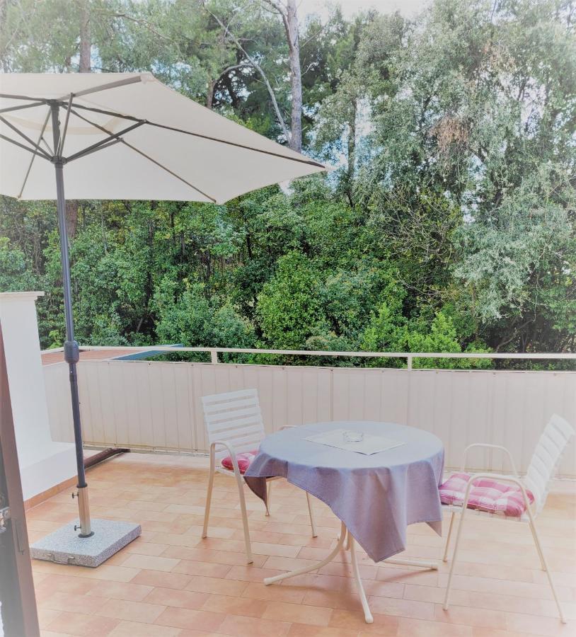Villa Matohanca Rovinj Zewnętrze zdjęcie