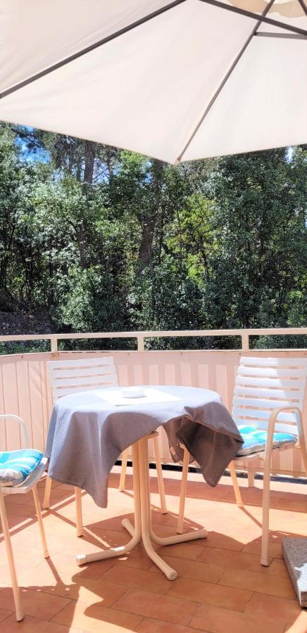 Villa Matohanca Rovinj Zewnętrze zdjęcie